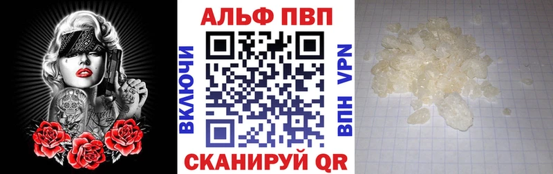 OMG ONION  что такое   Новоульяновск  Альфа ПВП СК КРИС 